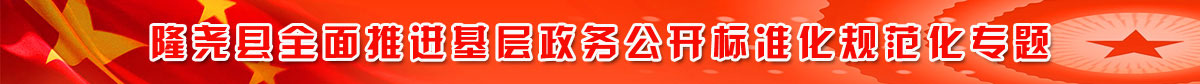 隆尧县全面推进基层政务公开标准化规范化专题